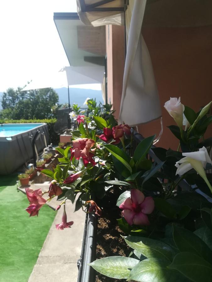 La Fontanella Apartment Polverara Eksteriør bilde